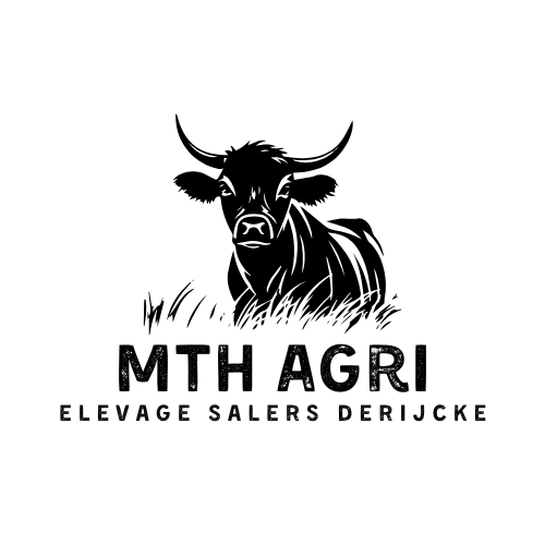 Élevage Salers Derijcke